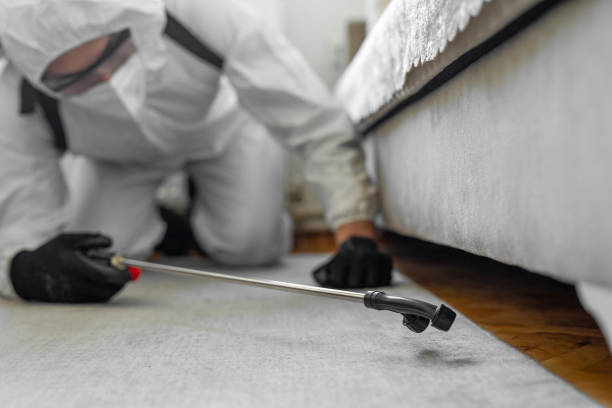 Professional Bed Bug Control technician working in Jensen Beach, FL