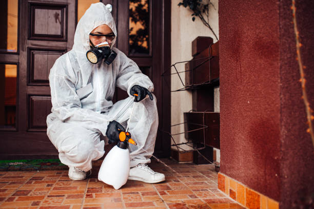 Reliable Bed Bug Control contractor in Jensen Beach, FL by Nex Pest Control